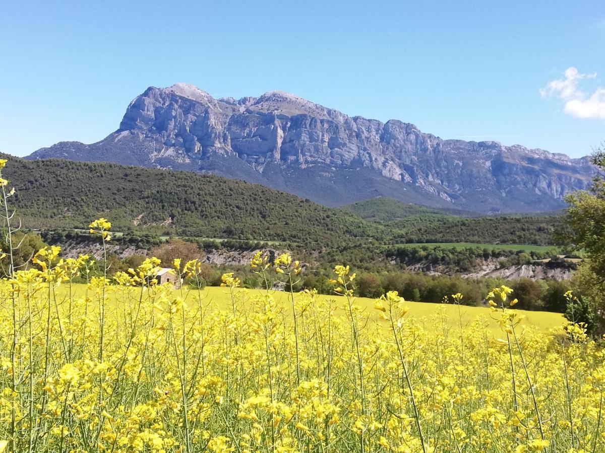 Apartamento El Fenal De Turmo Casa Rural "El Capricho De Nieves" Laspuña Buitenkant foto